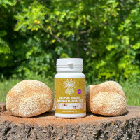 Екстракт міцелію Їжовика гребінчастого, "Лісовик", 60 капсул по 0.5 г