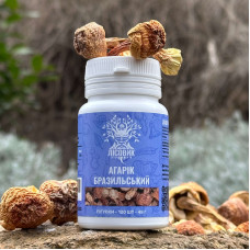 Агарик бразильский, "Лесовик", 120 таблеток по 0.4 г