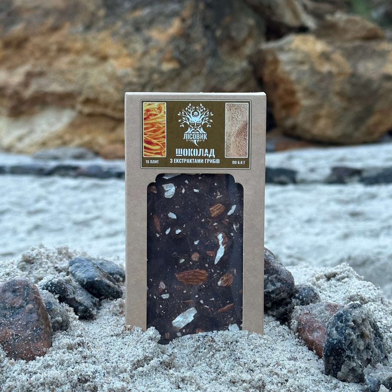 Шоколад з екстрактом кордицепса військового та їжовика гребінчастого, "Лісовик", 100 грам