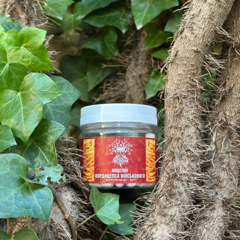 Міцелій кордицепса військового, "Лісовик", 60 капсул по 0,5 г
