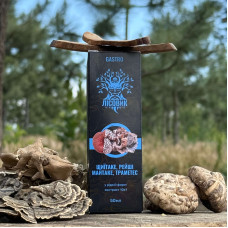 Комплекс рідких екстрактів GASTRO для покращення роботи ШКТ, "Лісовик", 50 мл