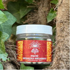 Міцелій кордицепса військового, "Лісовик", 60 капсул по 0,5 г