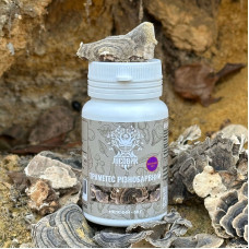 Траметес різнобарвний, екстракт 10:1, мелений, "Лісовик", 50 грам