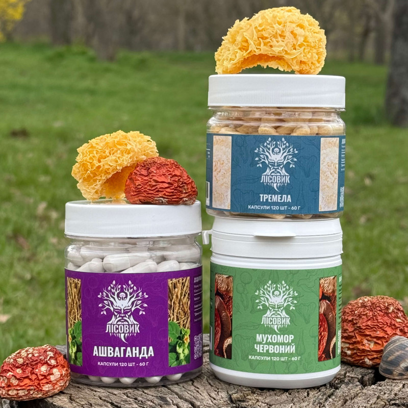 Курс Night Balance: Курс глубокого сна (2 месяца), "Лесовик", 360 капсул