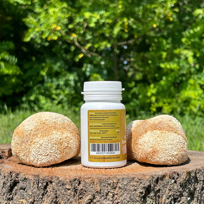 Екстракт міцелію Їжовика гребінчастого, 60 капсул по 0.5 г