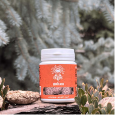 Шиїтаке, "Лісовик", 60 таблеток по 0.4 г