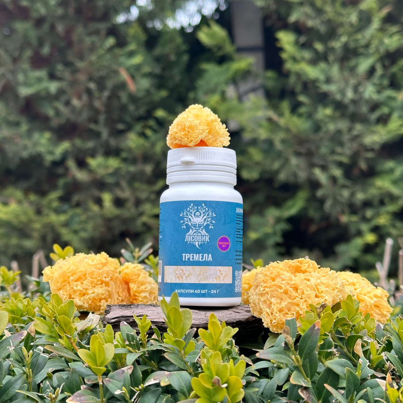 Тремела, екстракт 10:1, "Лісовик", 60 капсул по 0.4 г