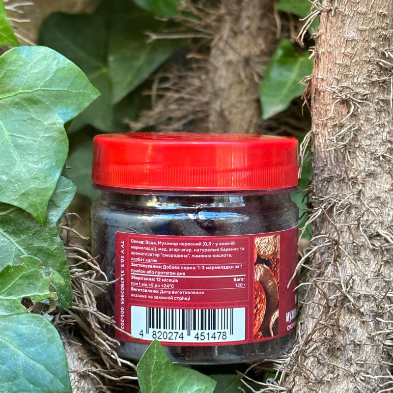 Мармелад мухоморний зі смаком смородини, "Лісовик", 60 желейок