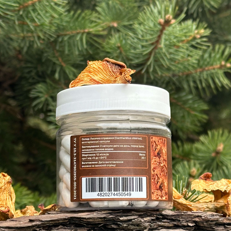 Лисичка справжня, "Лісовик", 60 капсул по 0.5 г
