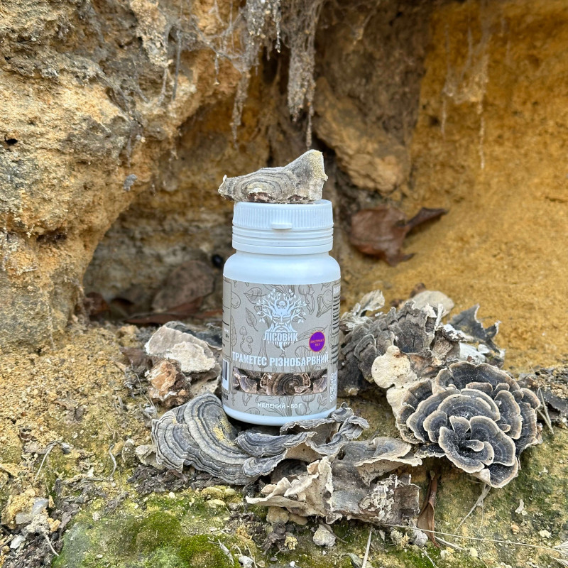 Траметес різнобарвний, екстракт 10:1, мелений, "Лісовик", 50 грам