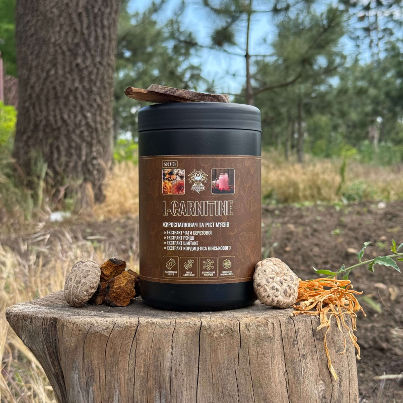 L-CARNITINE коктейль для сжигания жира и роста мышц, "Лесовик", 500 грамм