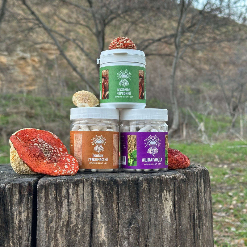 Курс Антистрес: для впевненості та спокою (2 місяці), "Лісовик", 360 капсул