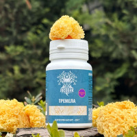 Тремела, екстракт 10:1, "Лісовик", 60 капсул по 0.4 г