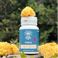 Тремела, екстракт 10:1, "Лісовик", 60 капсул по 0.4 г