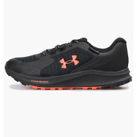 Кросівки чоловічі Under Armour Charged Bandit Tr 3 Sp (3028657-004)