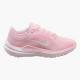 Кросівки жіночі Nike Winflo 10 (DV4023-600)