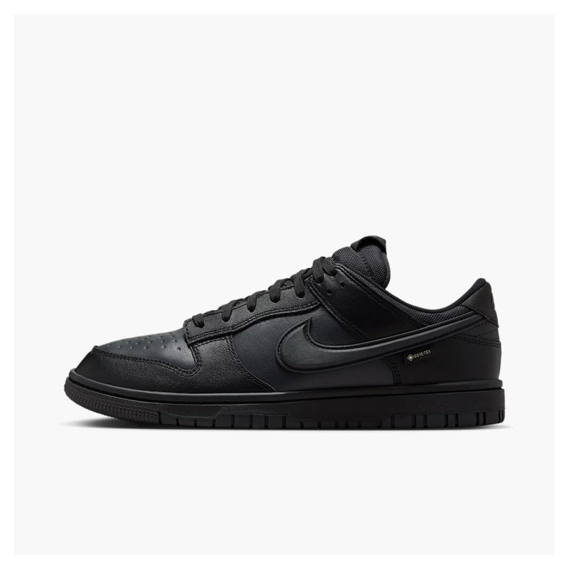 Кросівки чоловічі Nike Dunk Low Gore-Tex (HQ2053-001)