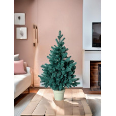 Ялинка лита в горщику, голуба POTTED TREE BLUE