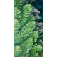 Ялинка новорічна зелена 1,0м Н.З. XMAS TREE GREEN
