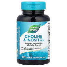 Холин и Инозитол, CholineInositol, Nature's Way, 100 капсул