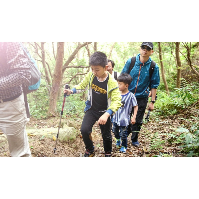 Трекінгова палиця 3-сек. Naturehike Women 6061 AL NH17D001-Z, 57-120 см, алюміній, зелена