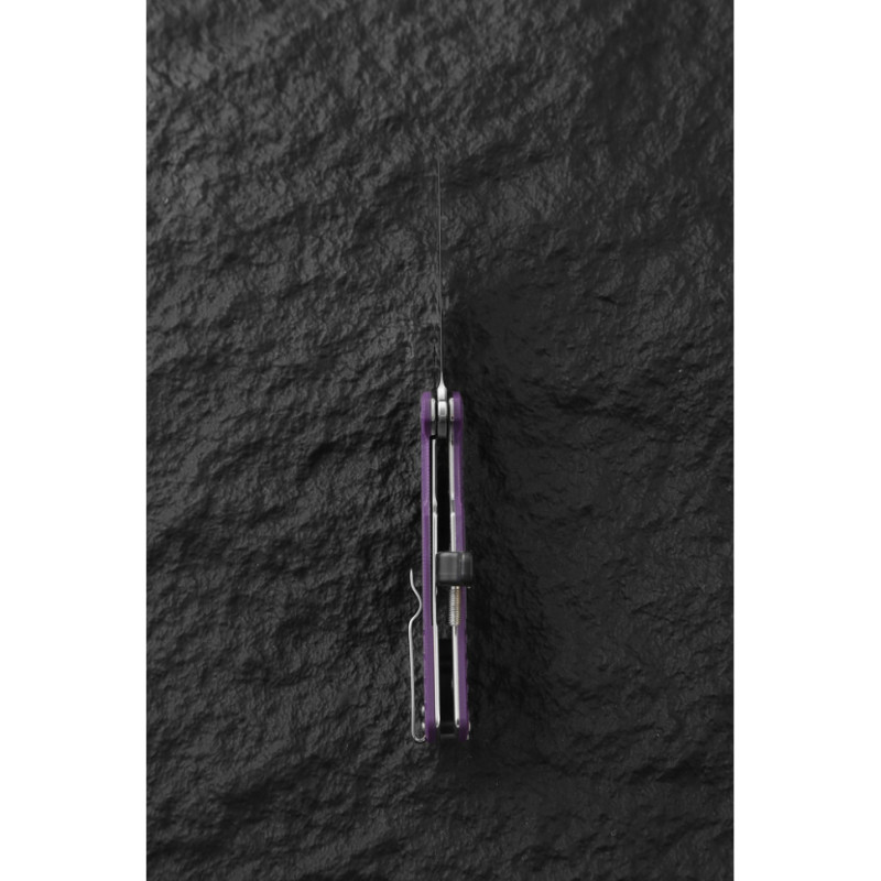 Ніж складаний Ganzo G769-PL