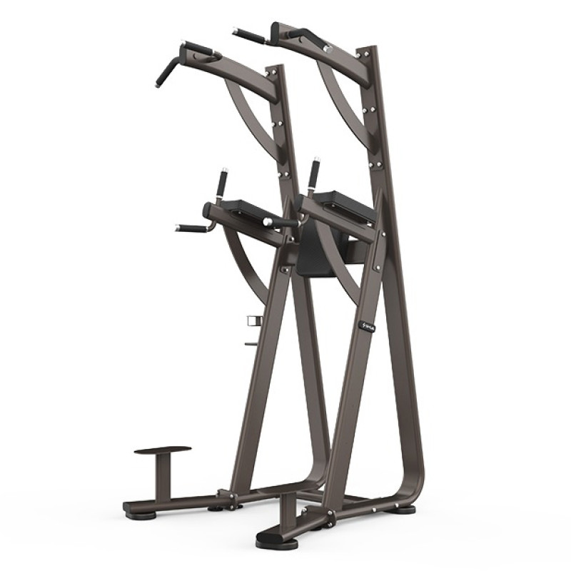 Комбінований станок Shua Chin Dip Leg SH-G8888