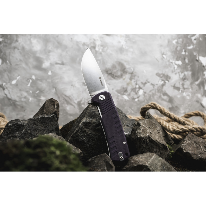 Ніж складаний Ganzo G769-PL