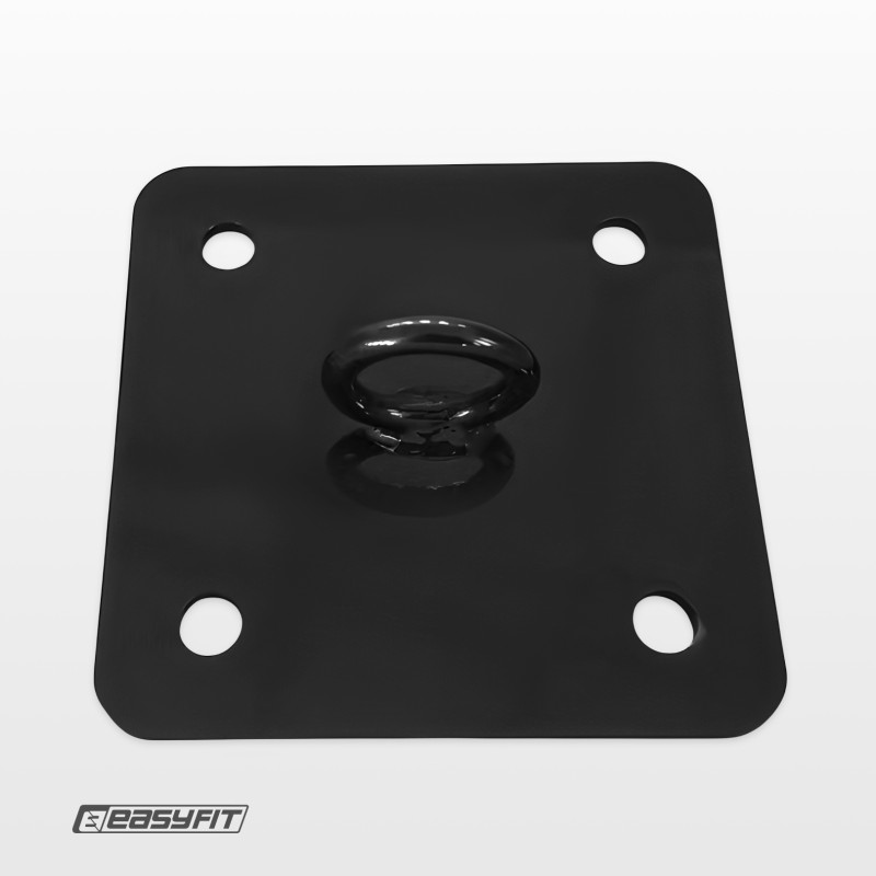 Крепление для боксерской груши EasyFit потолочное