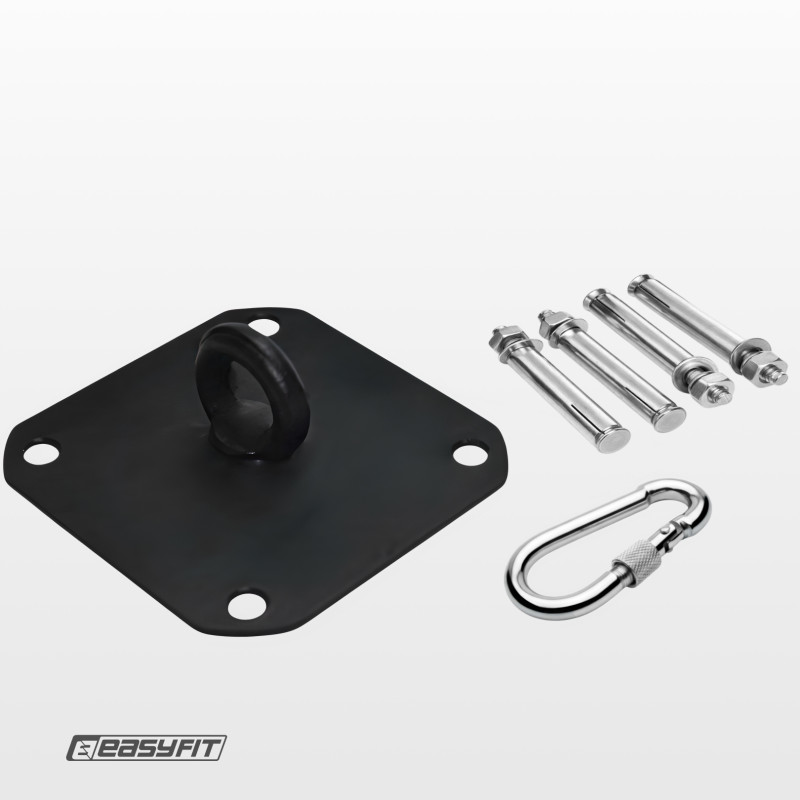 Крепление для боксерской груши EasyFit потолочное