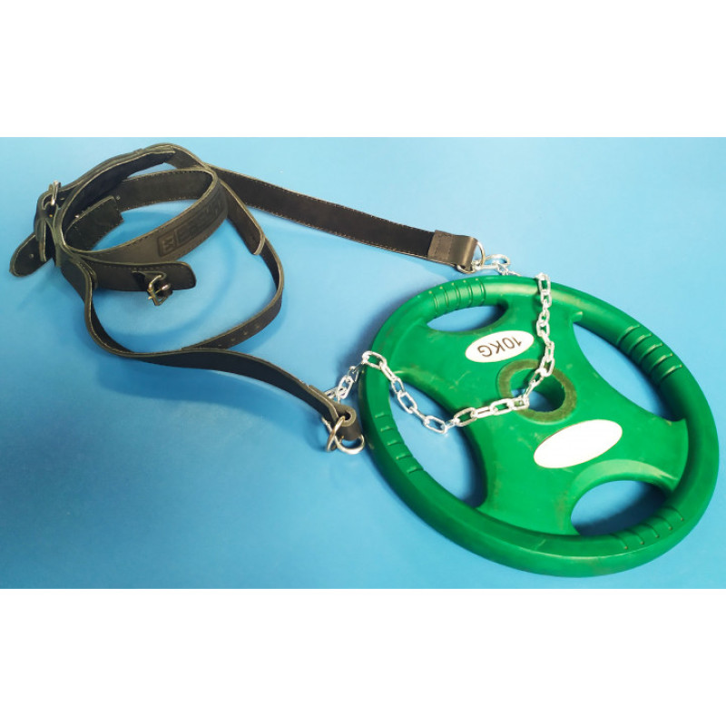 Упряжь кожаная EasyFit BISON борцовская для шеи с цепью, Кожа, Сталь, Черный