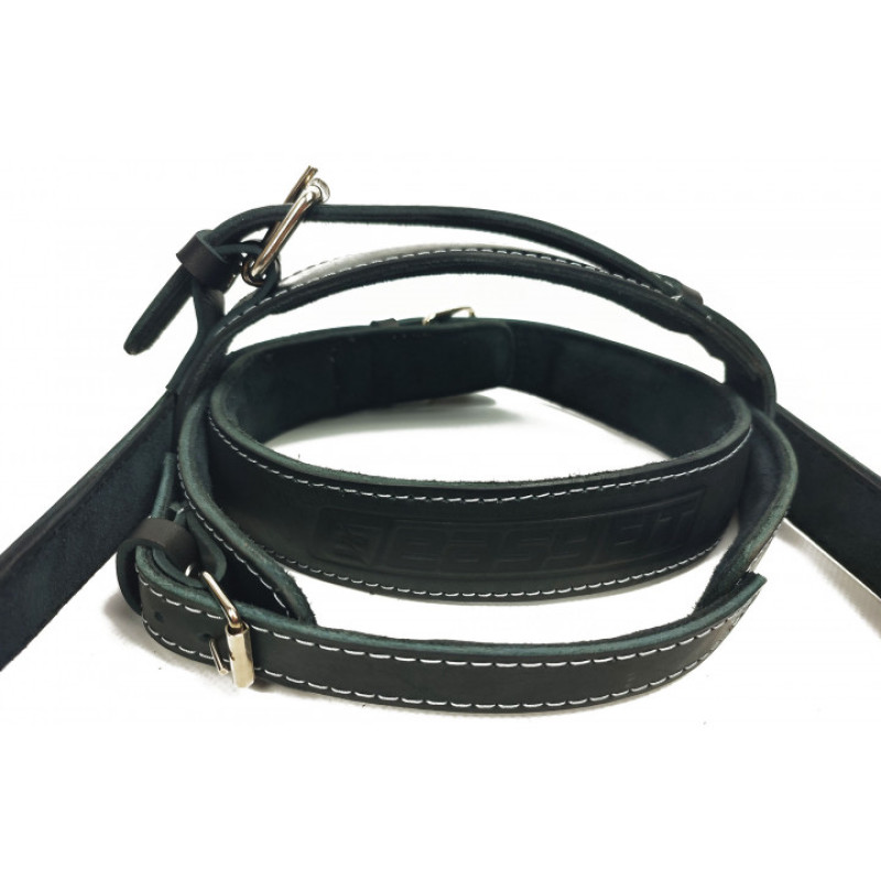 Упряжь кожаная EasyFit BISON борцовская для шеи с цепью, Кожа, Сталь, Черный