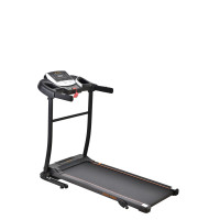 Беговая дорожка электрическая WCG-H105