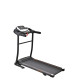 Беговая дорожка электрическая WCG-H105