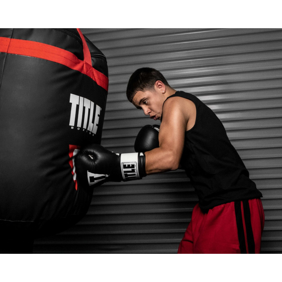Боксерські рукавиці TITLE Premier Leather Black/White L 14 oz