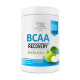 BCAA, BCAA Recovery, Bodyperson Labs, 500 г (Арбуз)