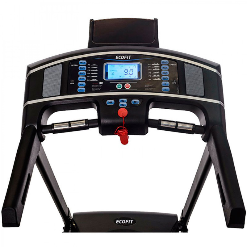 Беговая дорожка электрическая Ecofit E-W 450