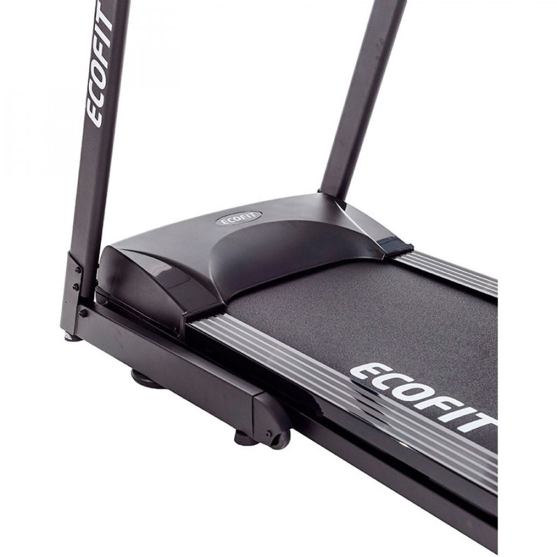 Беговая дорожка электрическая Ecofit E-W 450