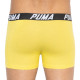 Труси-боксери Puma SPACEDYE STRIPE BOXER 2 пари