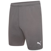 Шорти Puma teamRISE Short сірий Чол XXL