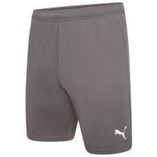Шорти Puma teamRISE Short сірий Чол XXL