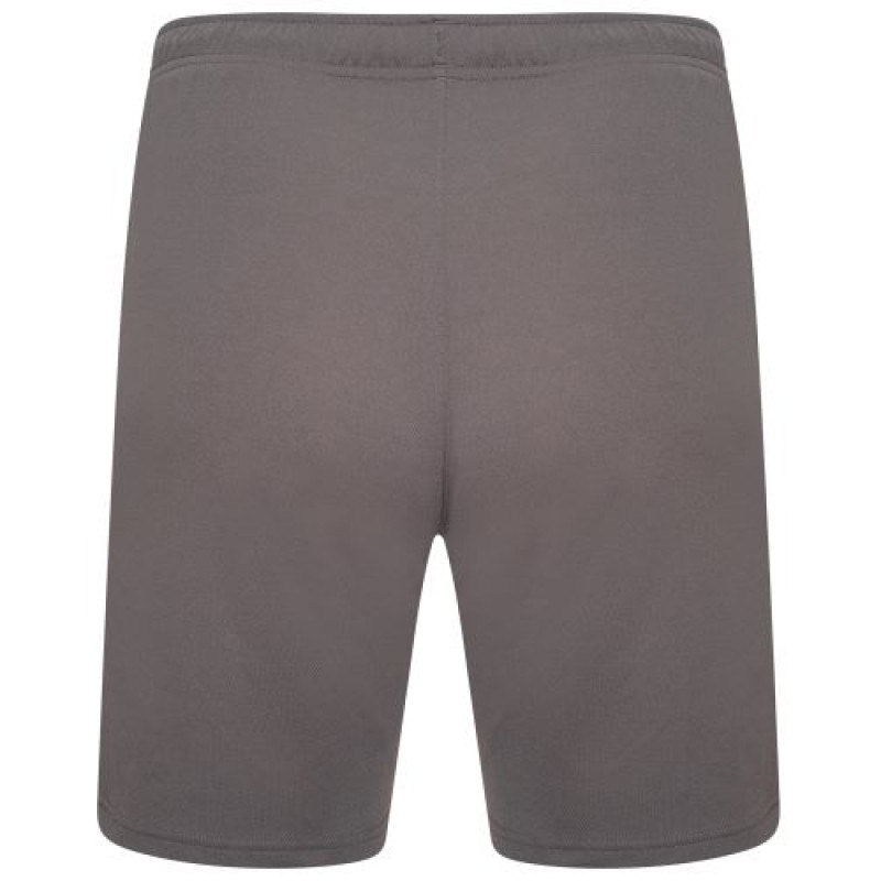 Шорти Puma teamRISE Short сірий Чол XXL