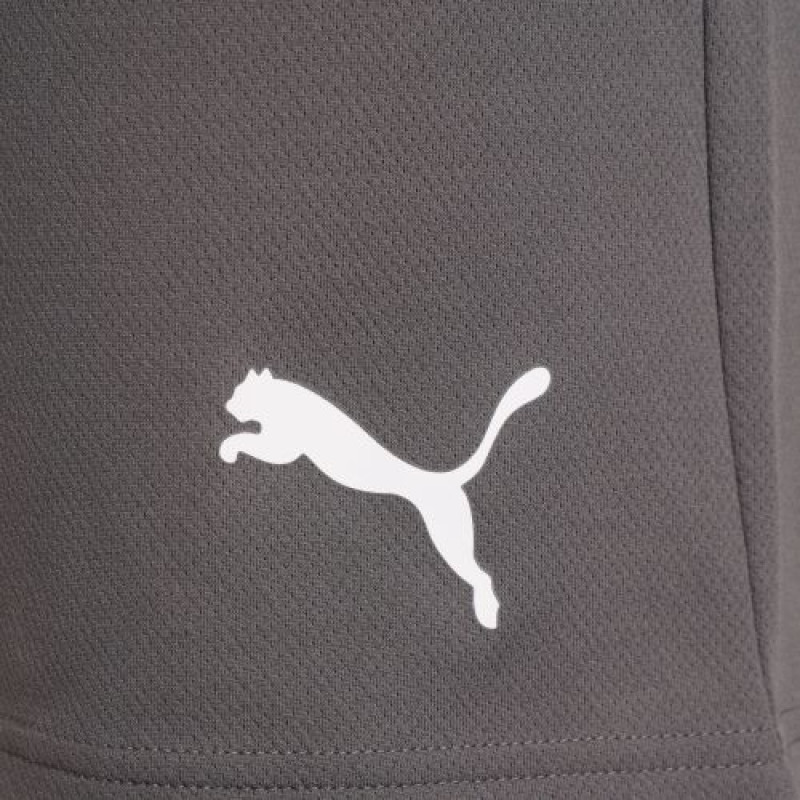 Шорти Puma teamRISE Short сірий Чол XXL