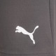 Шорти Puma teamRISE Short сірий Чол XXL