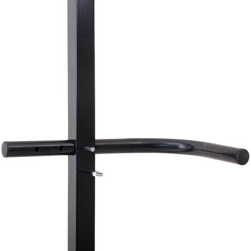 Турнік стаціонарний inSPORTline Power Tower ONX PT200