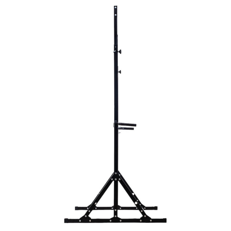 Турнік стаціонарний inSPORTline Power Tower ONX PT200