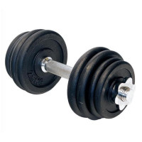 Гантель розбірна чавунна HMS SG04, 15 кг