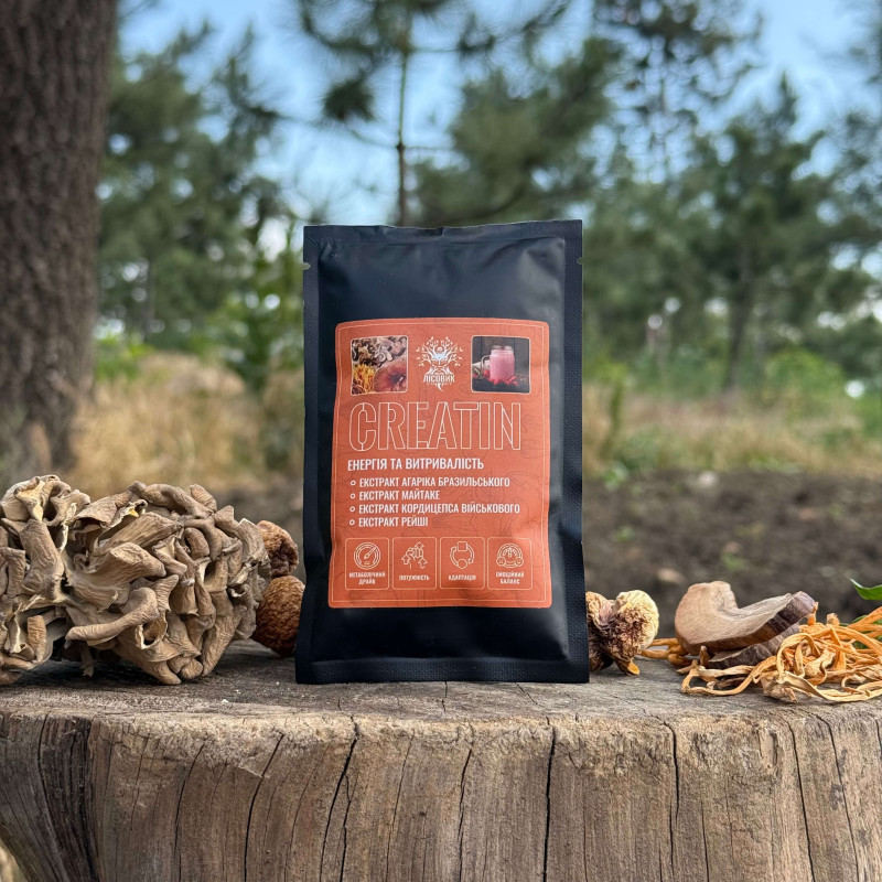 CREATIN коктейль (Энергия и выносливость), "Лесовик", 40 грамм