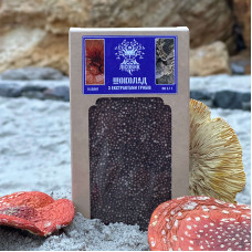 Шоколад с экстрактами грибов рейши и траметеса, "Лесовик", 85 грам