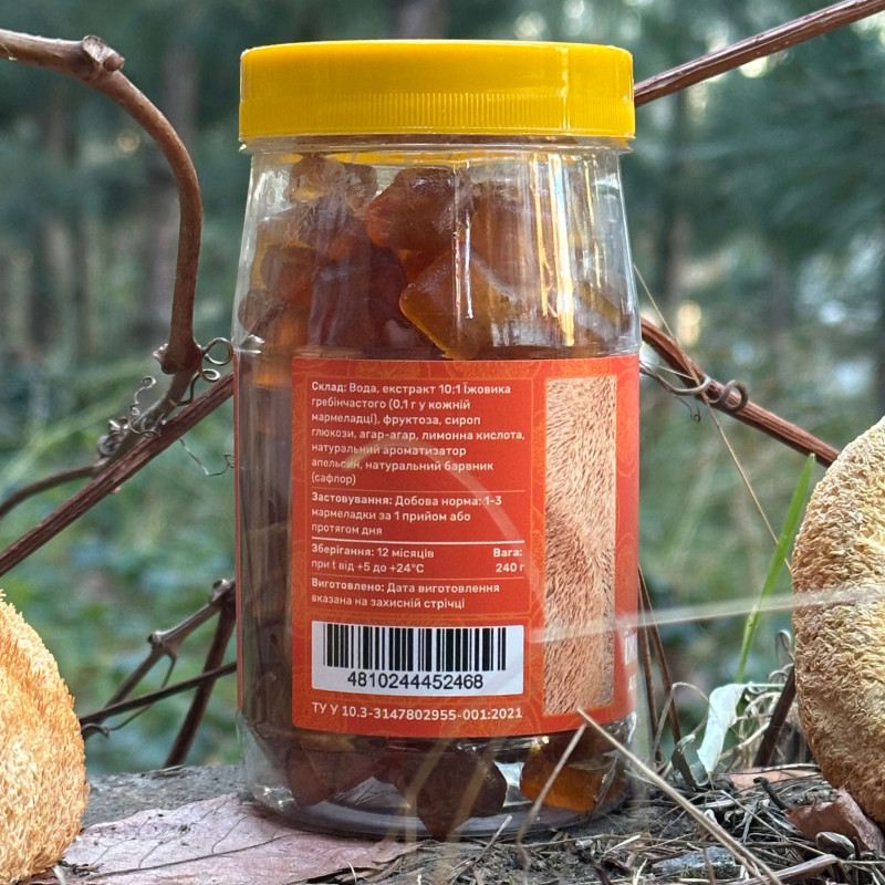 Мармелад з їжовиком гребінчастим зі смаком апельсина, "Лісовик", 120 желейок